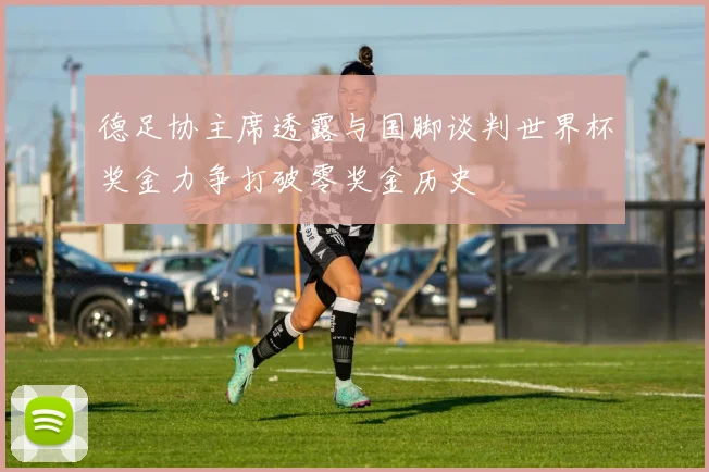 德足协主席透露与国脚谈判世界杯奖金力争打破零奖金历史